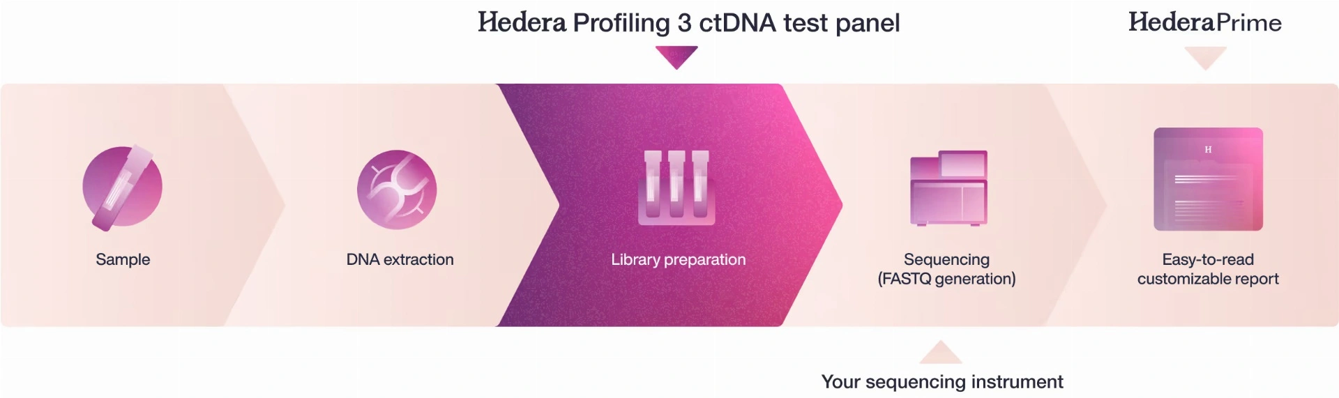 Hedera Profiling 3 workflow