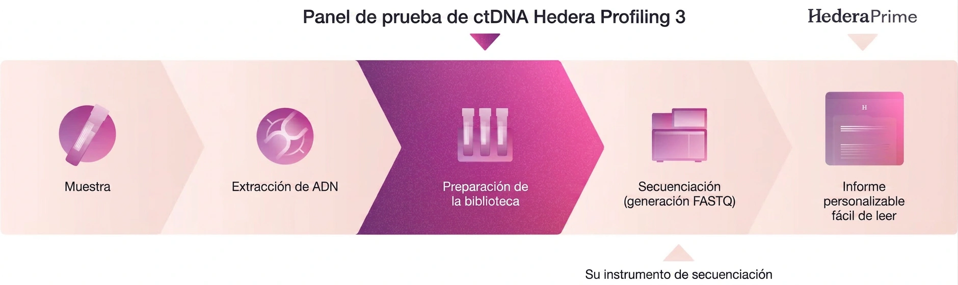 Flujo de trabajo Hedera Profiling 3