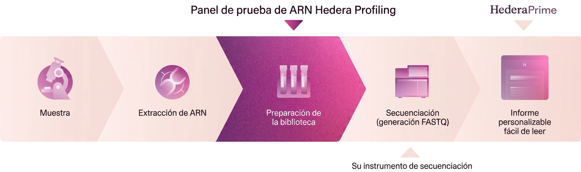 Flujo de trabajo Hedera Profiling RNA