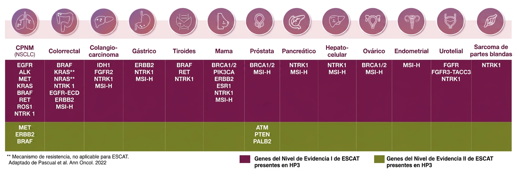 Aplicaciones clínicas Hedera Profiling 3