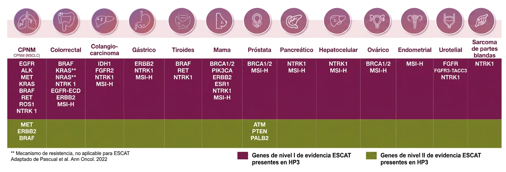 Aplicaciones clínicas Hedera Profiling 1