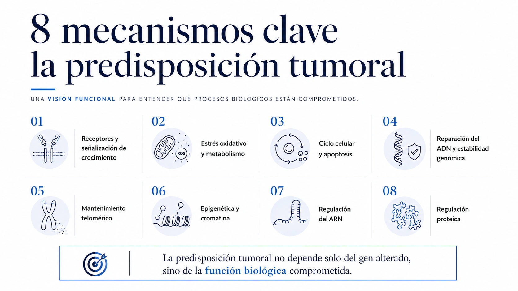 Clasificación jerárquica de síndromes genéticos tumorales