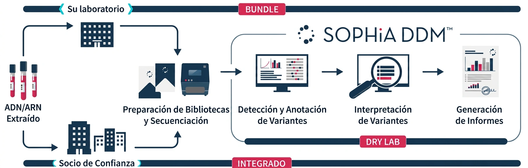 Principio de funcionamiento SOPHiA DDM