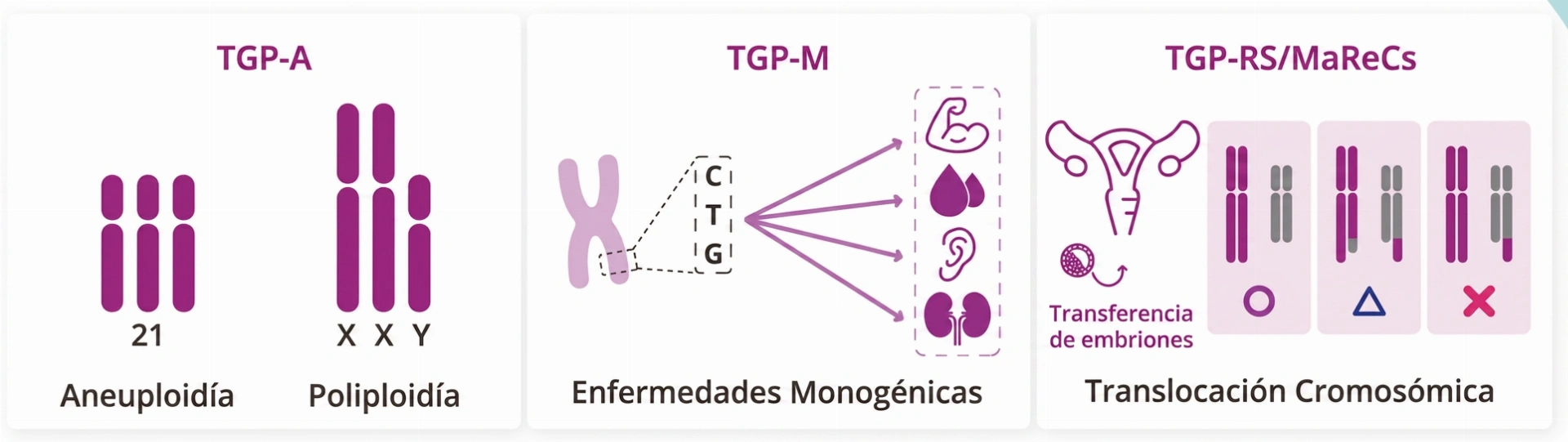 Aplicaciones clínicas KaryoSeq