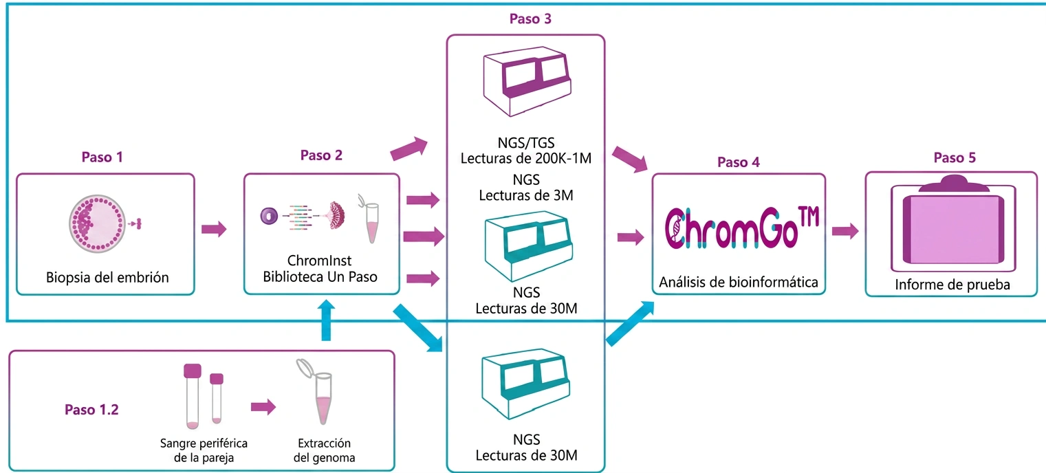 Beneficios PGT-SR