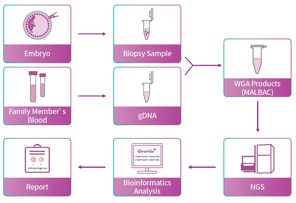 KaryoSeq technology