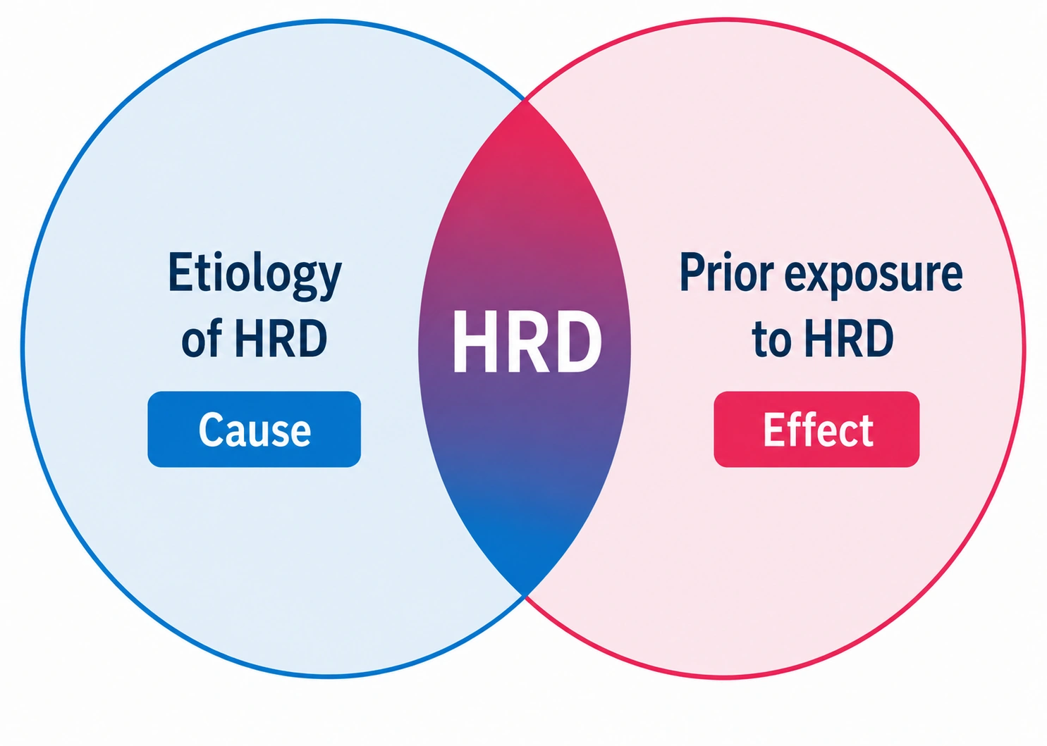 Homologous Recombination Deficiency Solution workflow