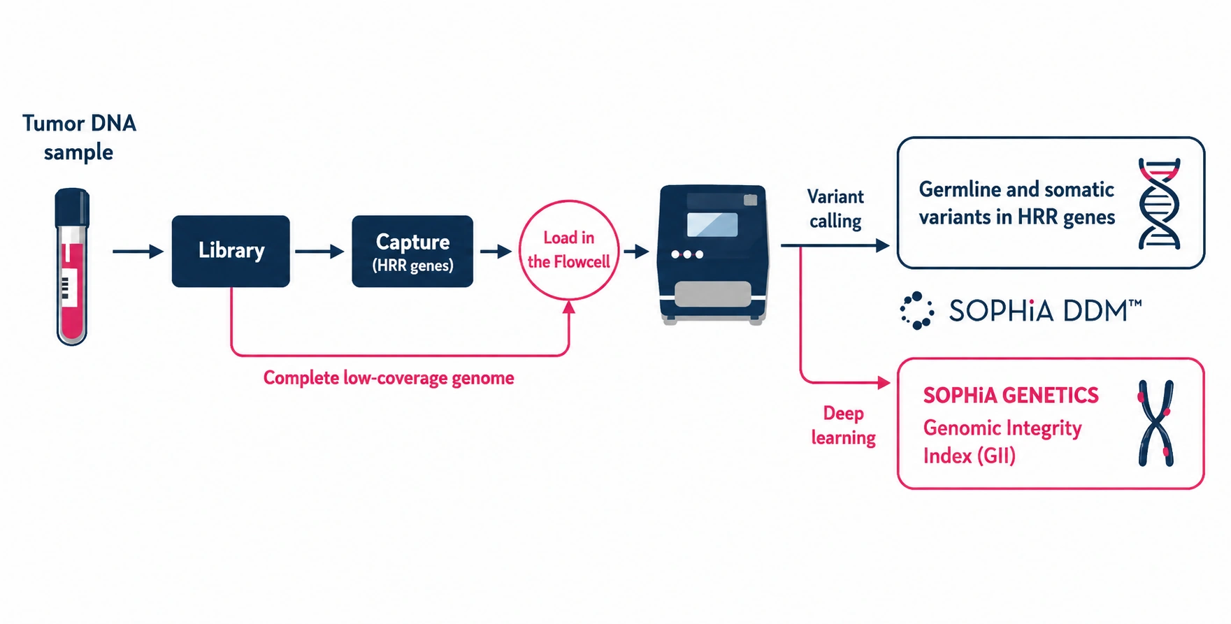 GIInger genomic instability analysis