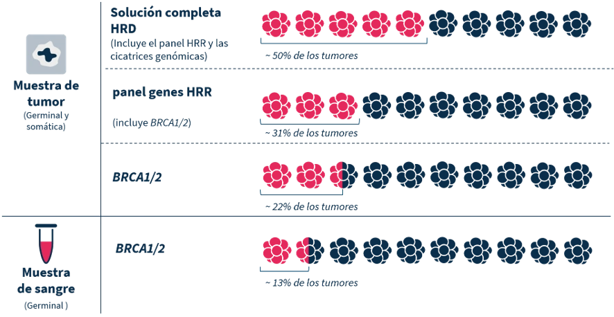 Aplicación clínica de la evaluación HRD en cáncer de ovario
