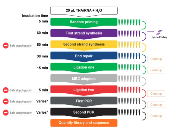 Flujo de trabajo del protocolo FUSIONPlex Lung v2