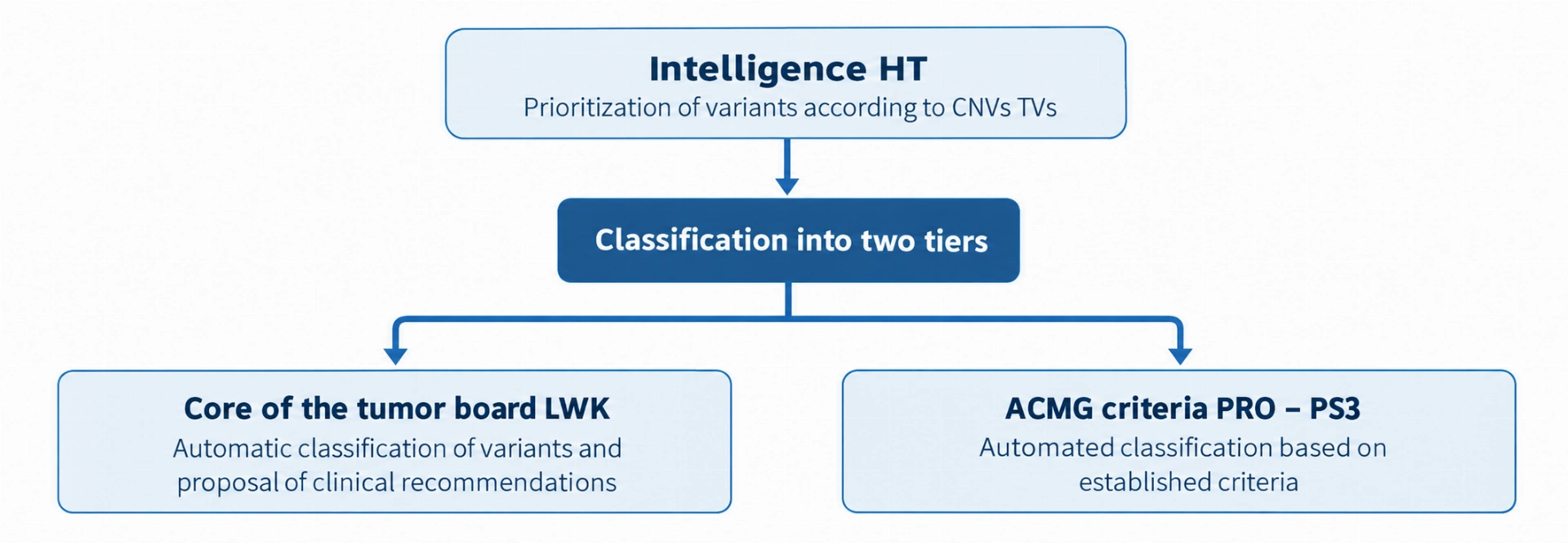 Two applications based on profiles generated with Kintelligence HT