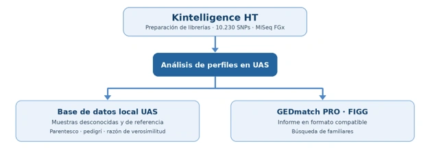 Dos aplicaciones a partir de los perfiles generados con Kintelligence HT