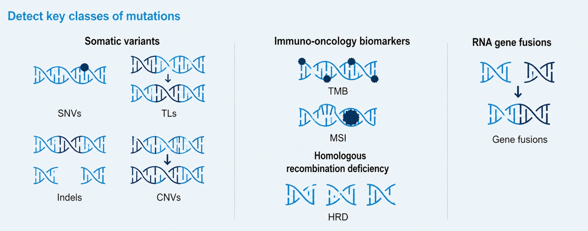 SureSelect Cancer CGP Assay
