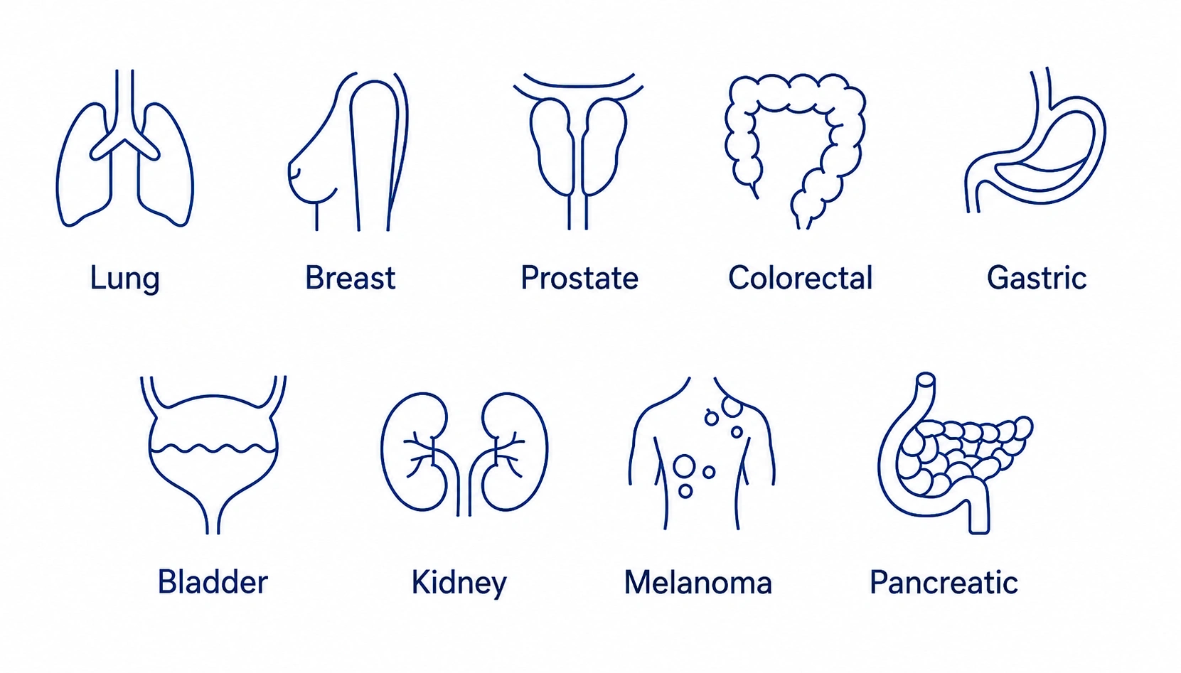 Clinical and research applications of the SureSelect Cancer CGP Assay
