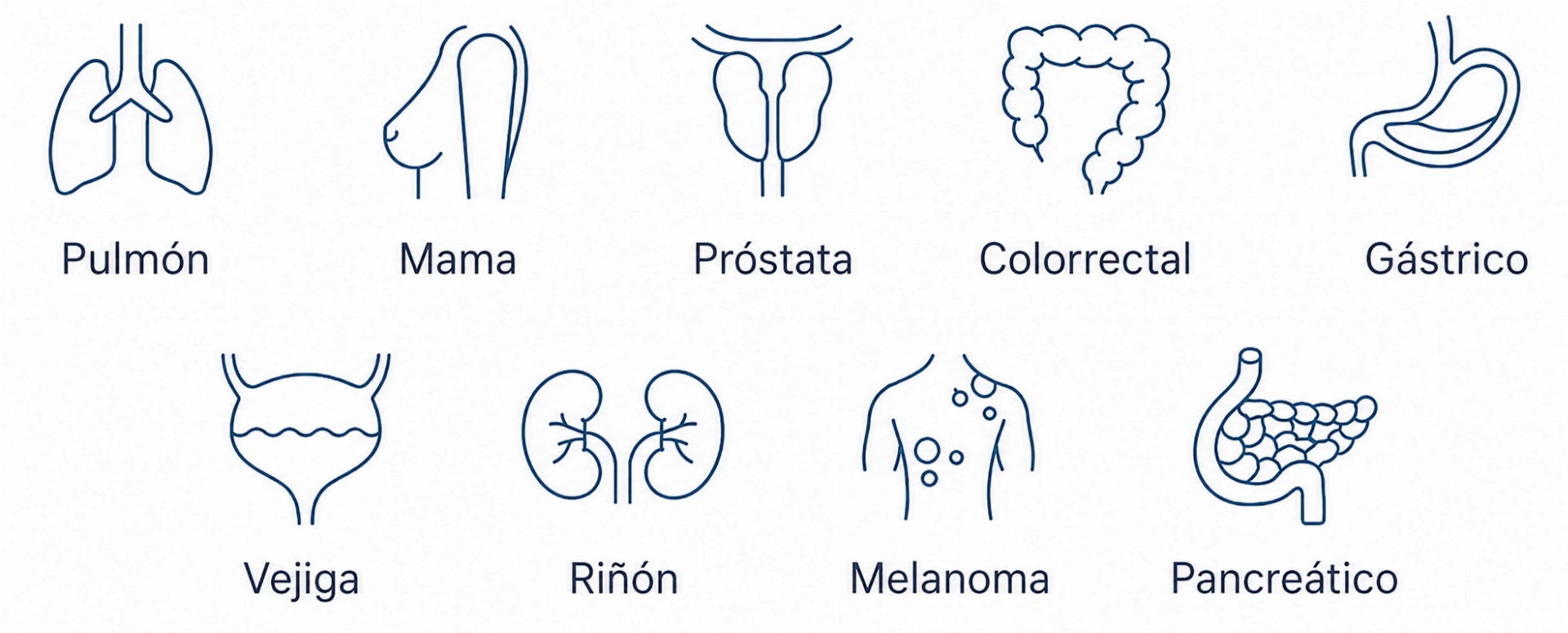 Aplicaciones clínicas y de investigación del ensayo SureSelect Cancer CGP