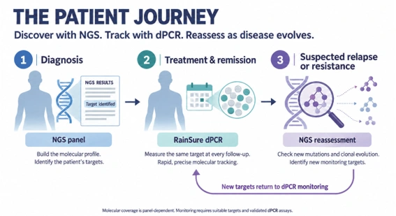 Workflow for identifying and tracking a molecular target using dPCR