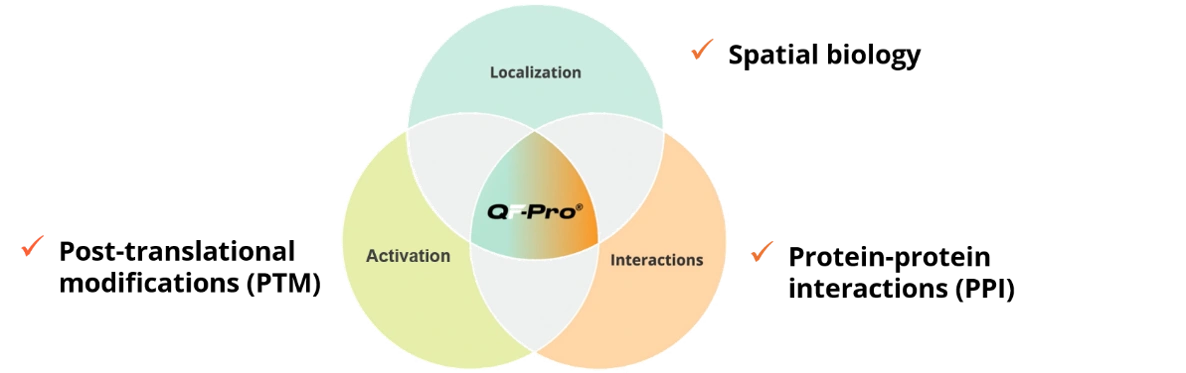 Violet 3.0 and QF-Pro technology