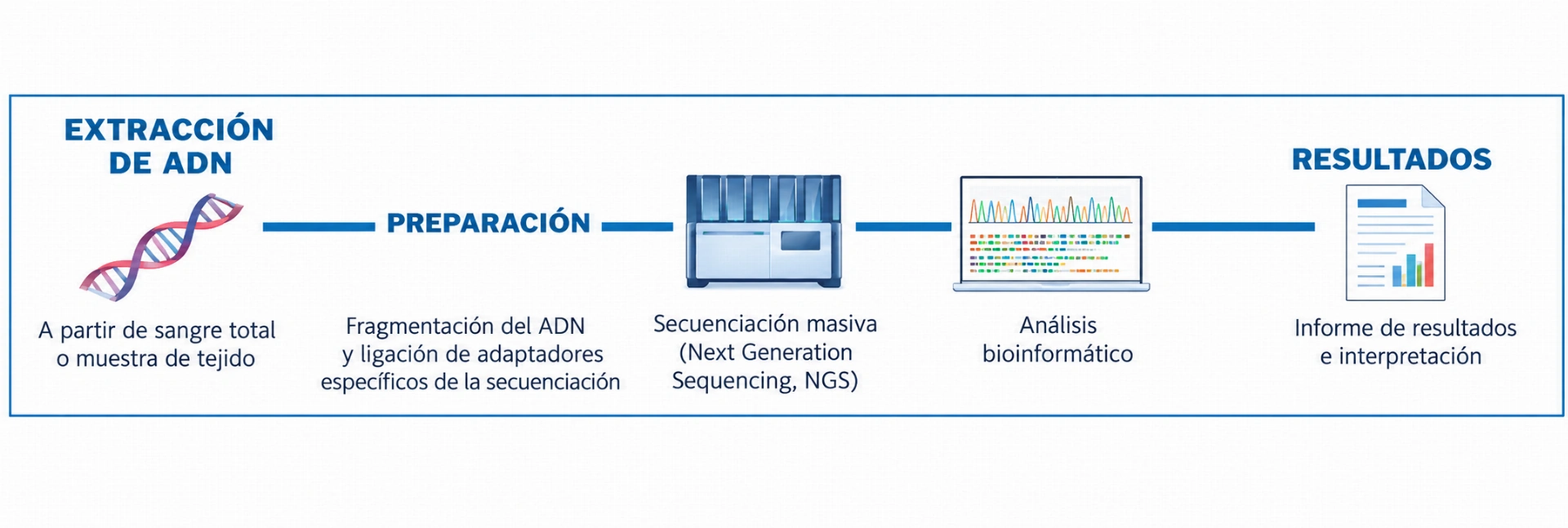 Flujo de trabajo simplificado de NIMoTest