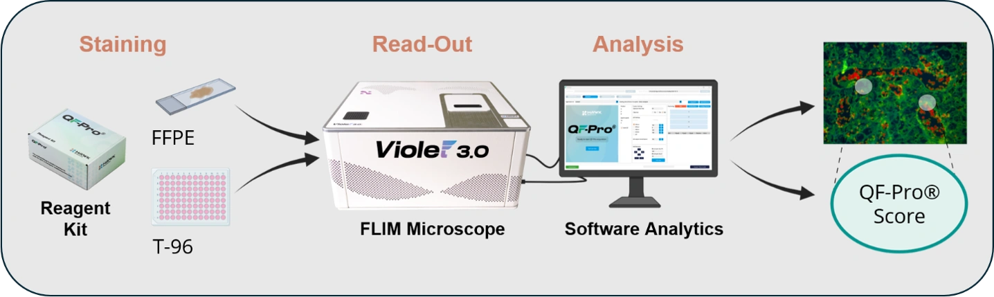 QF-Pro Score and high-resolution spatial functional map