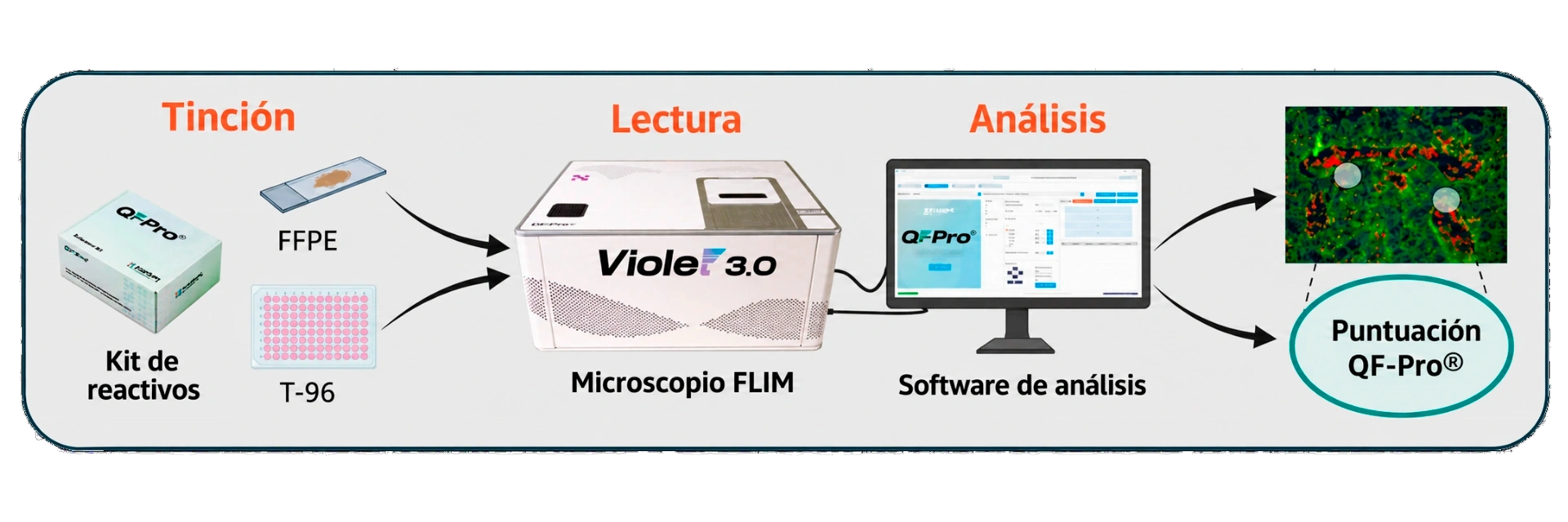 Generación del QF-Pro® Score