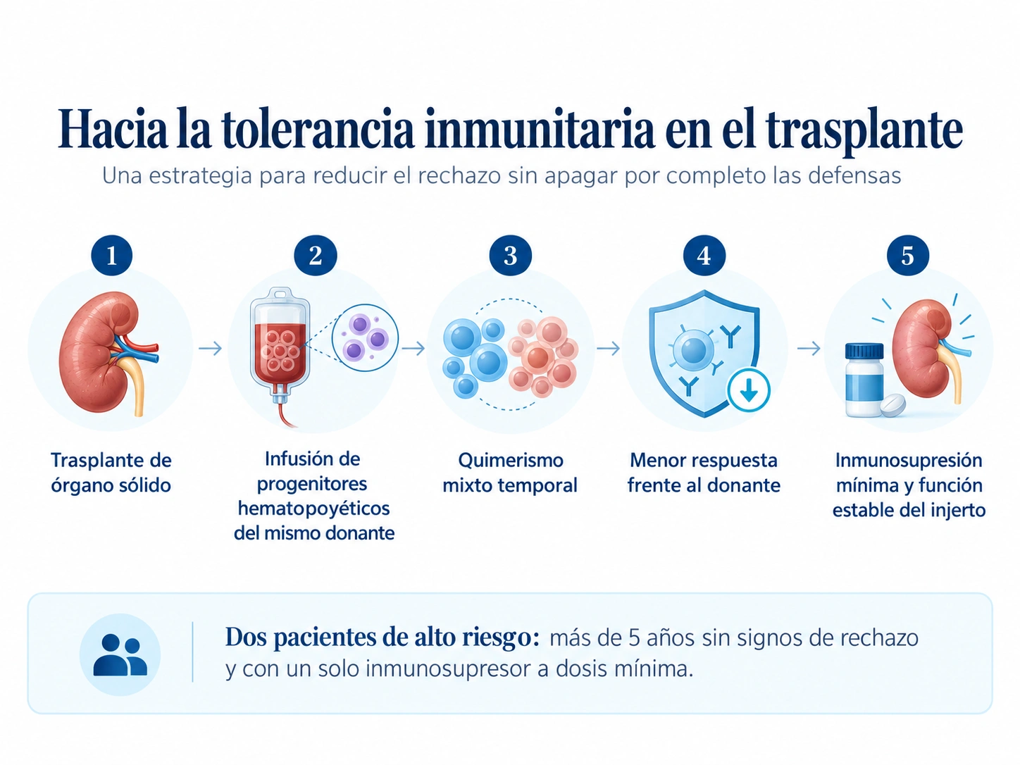 Estrategia para favorecer la tolerancia inmunitaria tras un trasplante