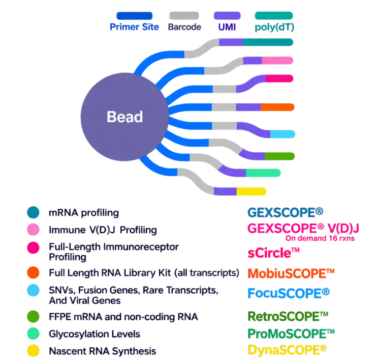 Beads