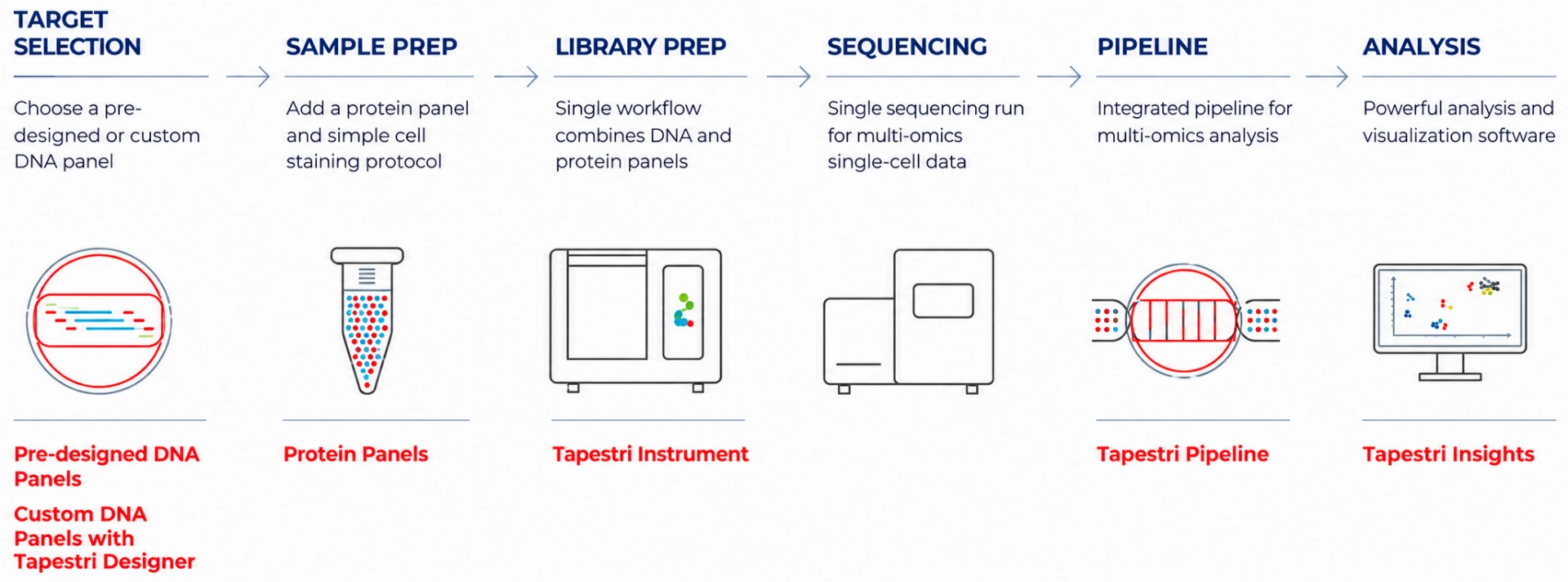 Tapestri platform workflow